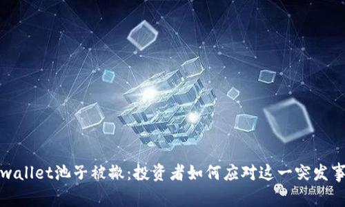 tpwallet池子被撤：投资者如何应对这一突发事件
