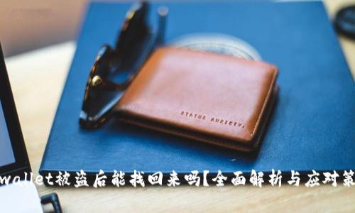 tpwallet被盗后能找回来吗？全面解析与应对策略