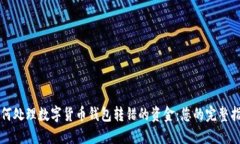 如何处理数字货币钱包转错的资金：您的完整指