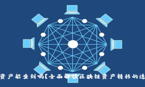 tpwallet转移资产能查到吗？全面解读区块链资产转移的透明性与隐私性