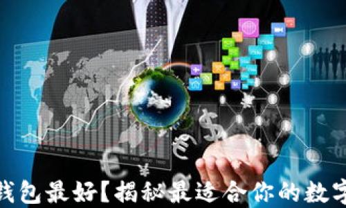 
哪个数字钱包最好？揭秘最适合你的数字钱包选择