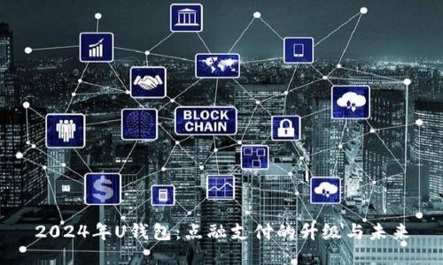 2024年U钱包：点融支付的升级与未来