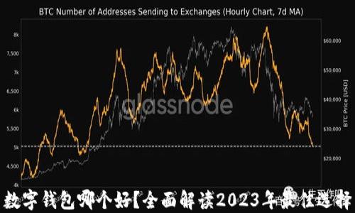 
数字钱包哪个好？全面解读2023年最佳选择