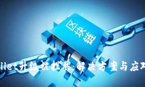 TPWallet升级被拦截：解决方案与应对策略