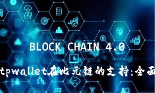 探索tpwallet在比元链的支持：全面指南