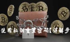 tpwallet如何使用私钥重置密码？详解步骤与注意事