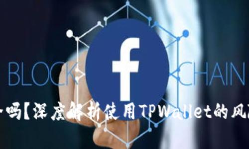 TPWallet安全吗？深度解析使用TPWallet的风险与防范策略