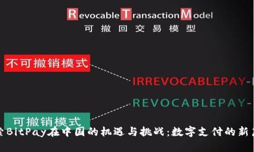 探索BitPay在中国的机遇与挑战：数字支付的新篇章