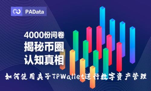 如何使用夹子TPWallet进行数字资产管理