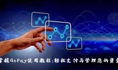 掌握GoPay使用教程：轻松支付与管理您的资金