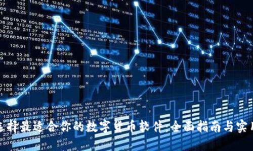 如何选择最适合你的数字货币软件：全面指南与实用建议