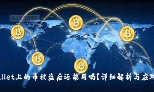TPWallet上的币被盗后还能用吗？详细解析与应对措施
