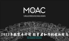 探索2023年数字币行情：投资者如何把握机遇与挑