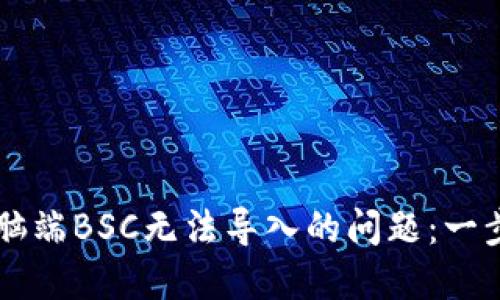 解决TPWallet电脑端BSC无法导入的问题：一步步带你走出困境