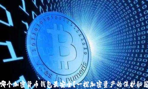 
哪个加密货币钱包最安全？一探加密资产的保护秘籍