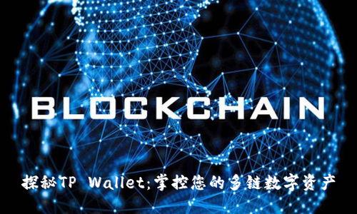 探秘TP Wallet：掌控您的多链数字资产