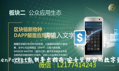 TokenPocket私钥导出指南：安全管理你的数字资产