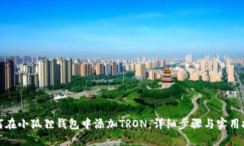 如何在小狐狸钱包中添加TRON：详细步骤与实用技巧