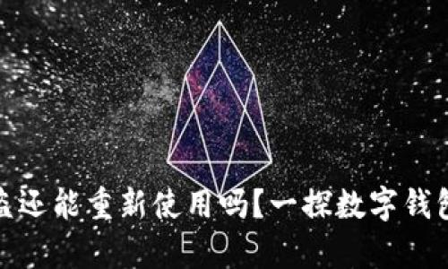 tpwallet被盗还能重新使用吗？一探数字钱包安全的奥秘