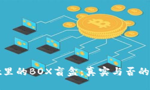 TPWallet里的BOX盲盒：真实与否的深入探讨