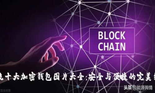 主流十大加密钱包图片大全：安全与便捷的完美结合