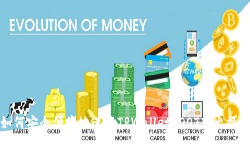 如何安全便捷地进行TPWallet DOT转出操作
