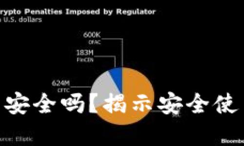 数字货币钱包安全吗？揭示安全使用暗号的关键