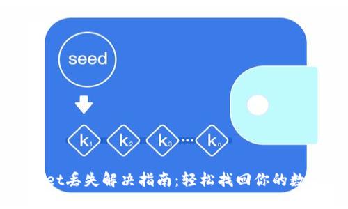 TPWallet丢失解决指南：轻松找回你的数字资产
