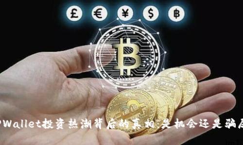 TPWallet投资热潮背后的真相：是机会还是骗局？