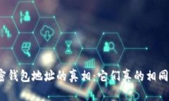 加密钱包地址的真相：它们真的相同吗？