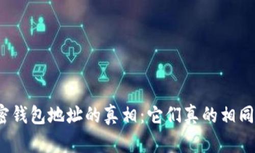 加密钱包地址的真相：它们真的相同吗？