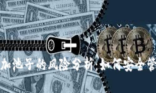 tpwallet添加池子的风险分析：如何安全管理数字资产