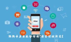 狗狗币未来走势分析：能否突破新高？