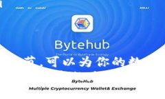 pụti欧易转账TPWallet过程详解：从新手到高手的全