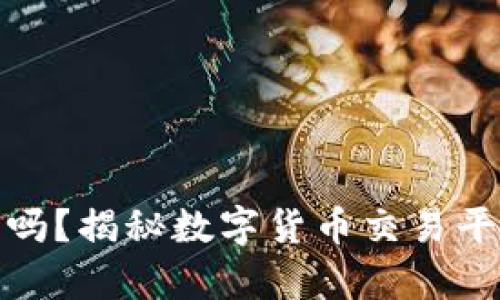 tpwallet兑换靠谱吗？揭秘数字货币交易平台的安全性与风险