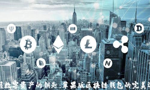 
掌握数字资产的钥匙：苹果版区块链钱包的完美选择