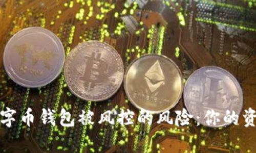 如何应对数字币钱包被风控的风险：你的资金安全指南
