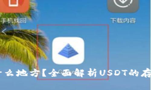 USDT存放在什么地方？全面解析USDT的存储方式与选择