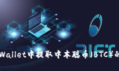 如何在TPWallet中提取中本聪币（BTC）的详细指南