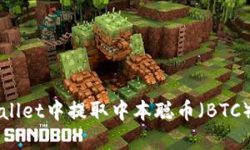 如何在TPWallet中提取中本聪币（BTC）的详细指南