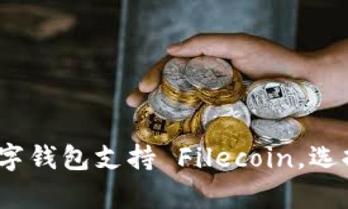 全面解析：哪些数字钱包支持 Filecoin，选择最佳钱包的指南