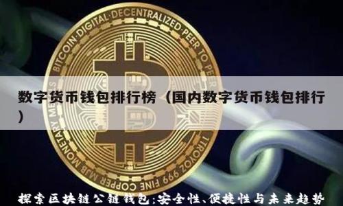 
探索区块链公链钱包：安全性、便捷性与未来趋势