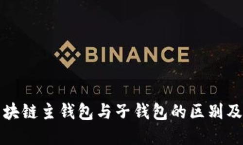 深入探索区块链主钱包与子钱包的区别及其应用场景