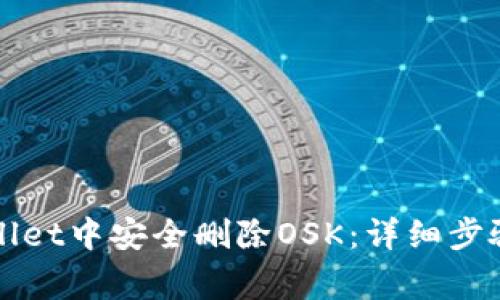 如何在TPWallet中安全删除OSK：详细步骤和注意事项