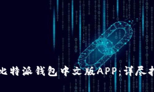 如何下载安装比特派钱包中文版APP：详尽指南与注意事项