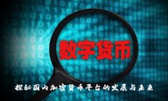 探秘国内加密货币平台的发展与未来