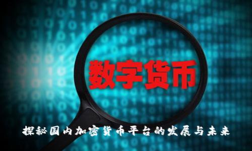 探秘国内加密货币平台的发展与未来