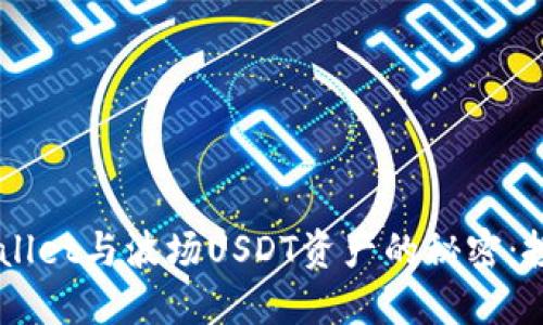 bilai掌握TPWallet与波场USDT资产的秘密：投资者必读指南