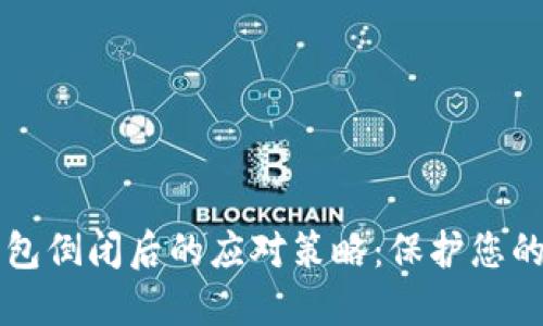 区块链钱包倒闭后的应对策略：保护您的数字资产