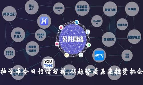 柚子币今日行情分析：从趋势看未来投资机会